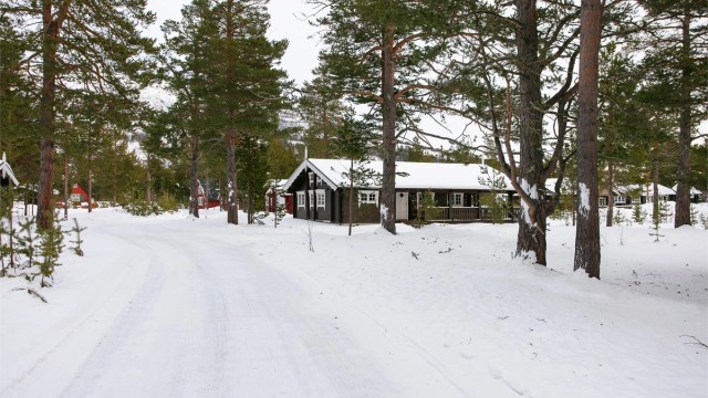 Hytten sett fra adkomstvei