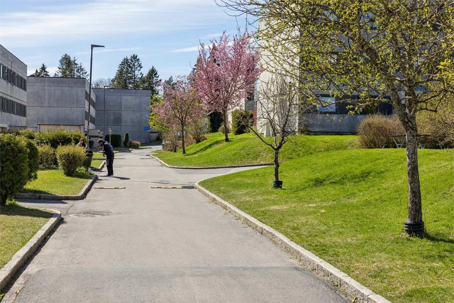 Her finner du pent opparbeidede gangveier og beplantning, som bidrar til et hyggelig bomiljø.