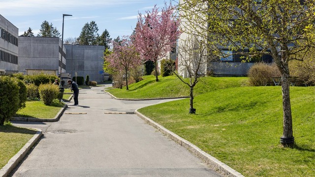 Her finner du pent opparbeidede gangveier og beplantning, som bidrar til et hyggelig bomiljø.