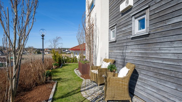 En liten, usjenert krok i hagen.