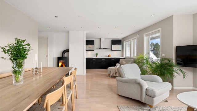 Peisovnen med glassdør i stuen gir en lun og hyggelig atmosfære