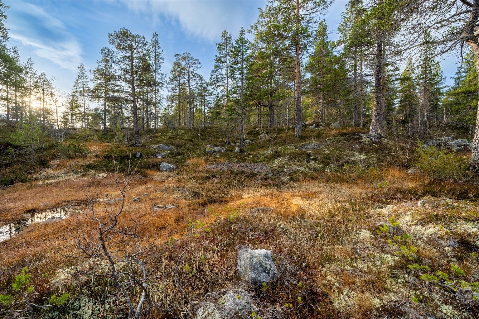 - Velkommen til Badstogdalen Hyttegrend 43 & 45 - 