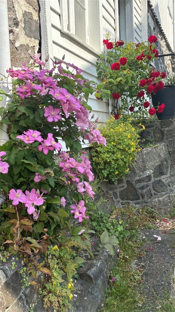 Sjarmerende detaljer som klatreplanter og natursteinsmur understreker den idylliske sørlandsfølelsen.