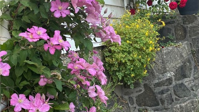 Sjarmerende detaljer som klatreplanter og natursteinsmur understreker den idylliske sørlandsfølelsen.