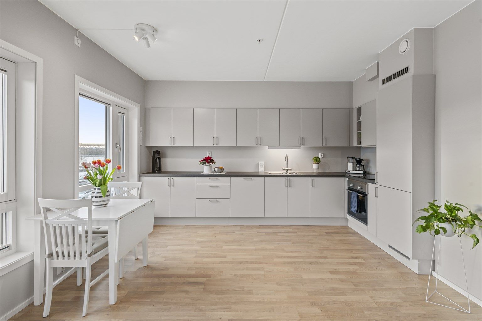 Hvitevarer som en del av innredningen kombi kjølfrys, komfyr, induksjonsplatetopp og oppvaskmaskin