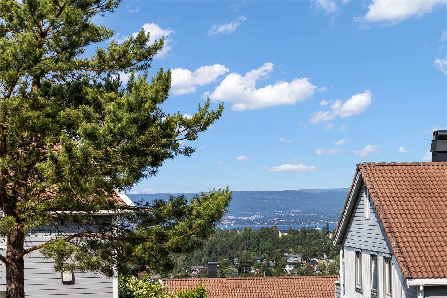 Flott utsyn over grønne fellesarealer, fjorden og Holmenkollen fra oppholdsrommene. 
