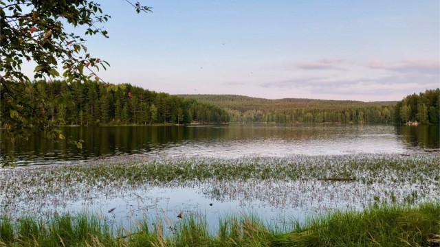 Idylliske Nøklevann!