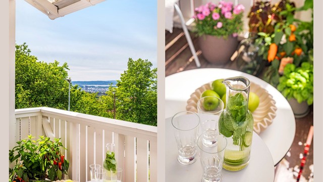 Utsikt til Oslofjorden