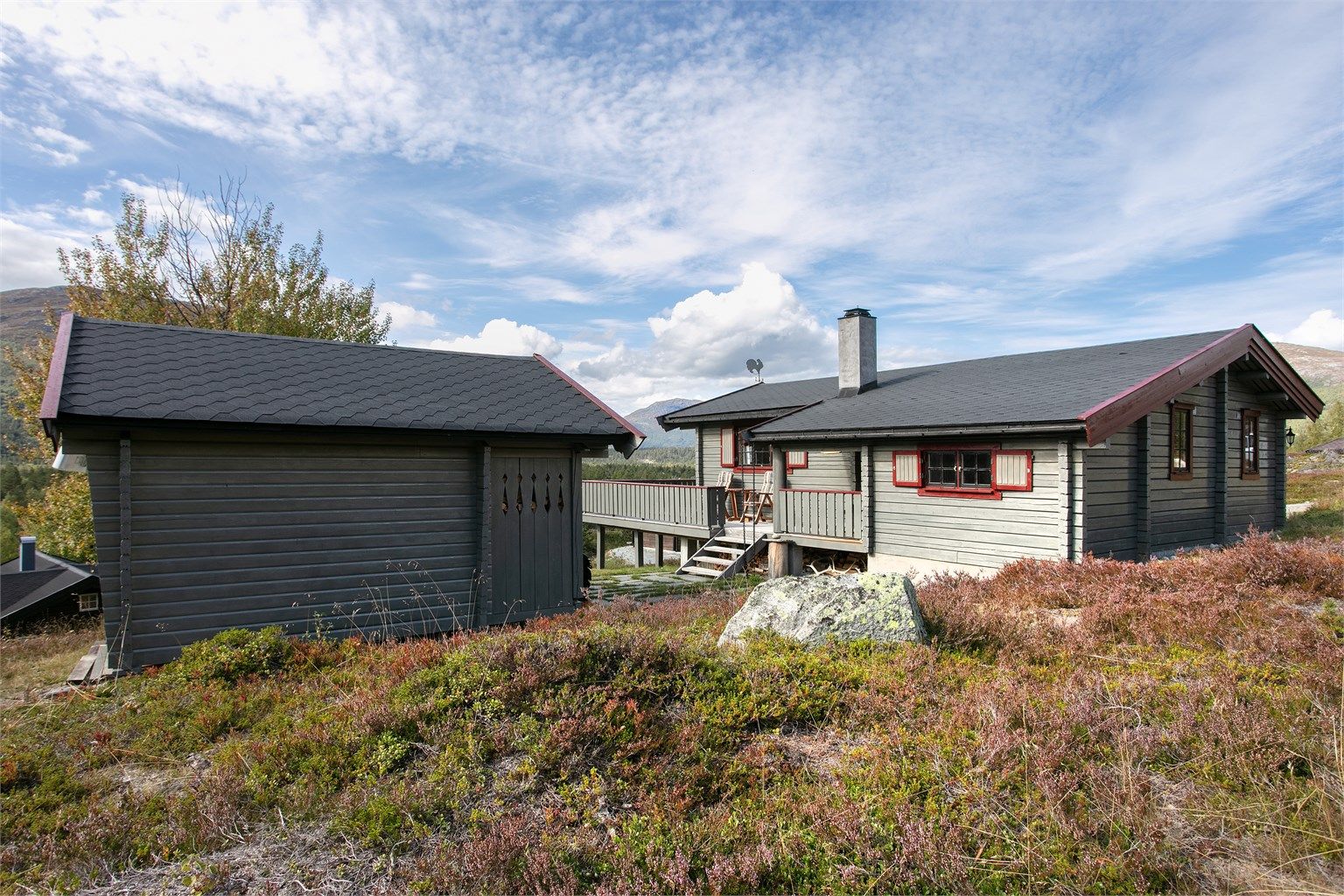 Eiertomt med naturlig vegetasjon av lyng og fjellbjørk i åpent terreng.