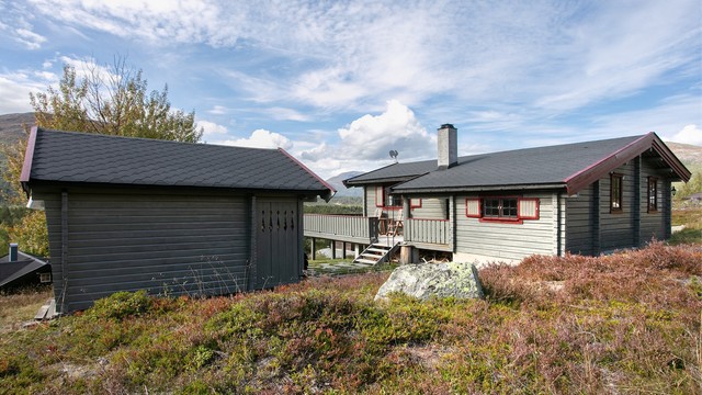 Eiertomt med naturlig vegetasjon av lyng og fjellbjørk i åpent terreng.