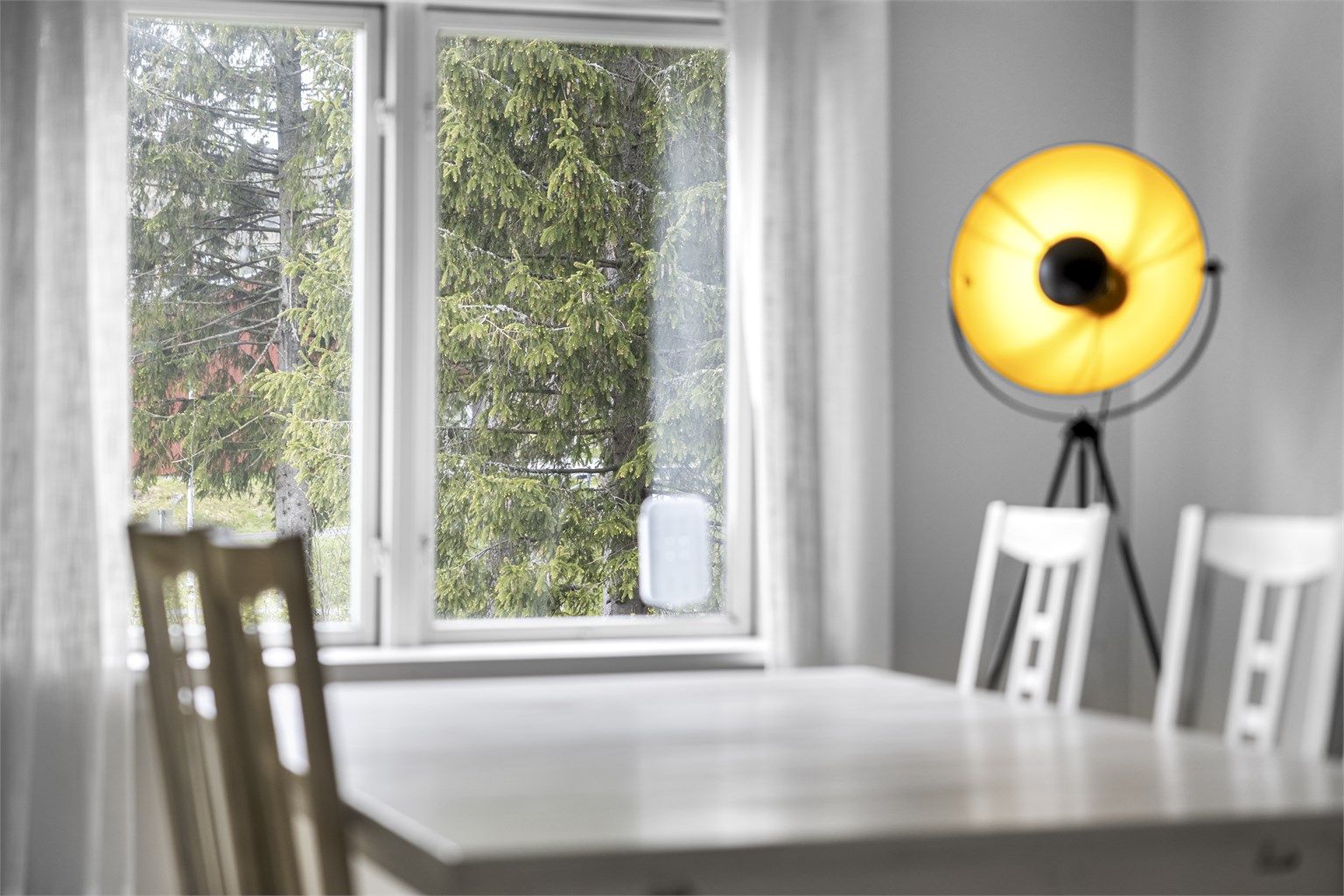 Vinduene i stuen vender ut mot hagen og nærområdet.
