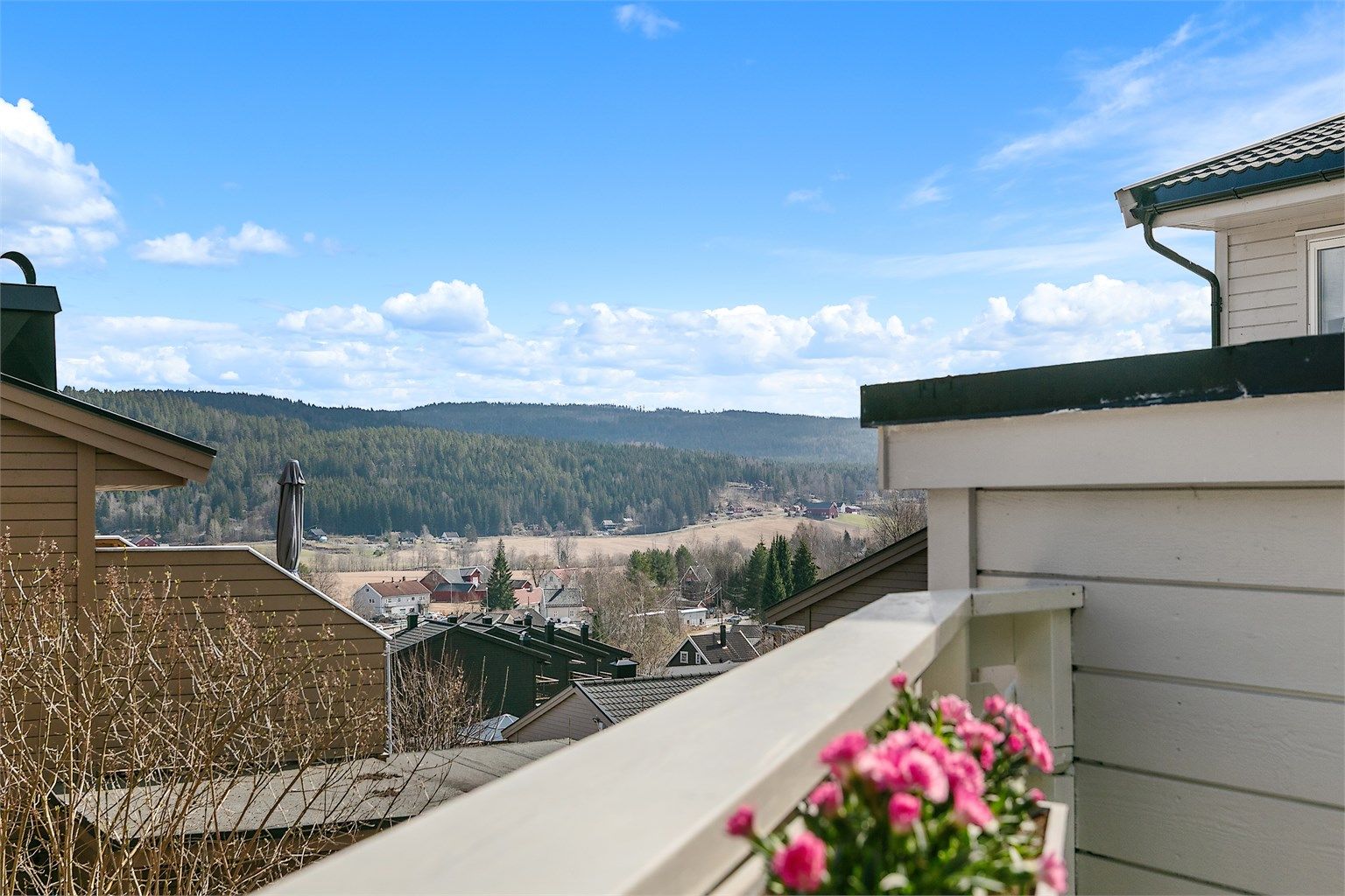 Utsikt fra terrassen ved inngangspartiet. 