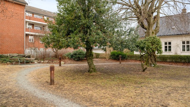 Sameiets atrium er vendt ut mot parken, som er en nydelig grønn lunge på Storhaug