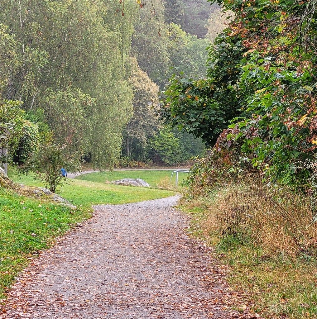 Rett bak blokka di møter du ei stor gresslette, turstier og skogen. Kom på visning og gå den korte turen til Rustadsaga og badestranda ved padleklubben.