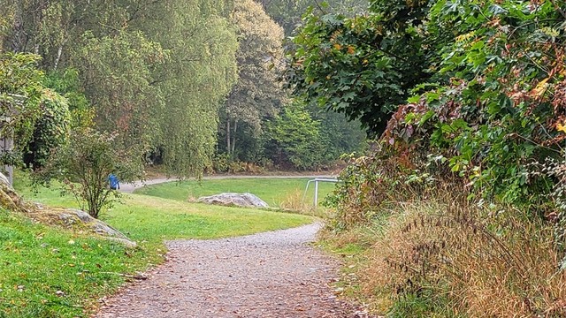 Rett bak blokka di møter du ei stor gresslette, turstier og skogen. Kom på visning og gå den korte turen til Rustadsaga og badestranda ved padleklubben.