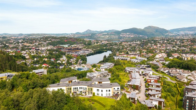 Dronefoto - Nærområdet