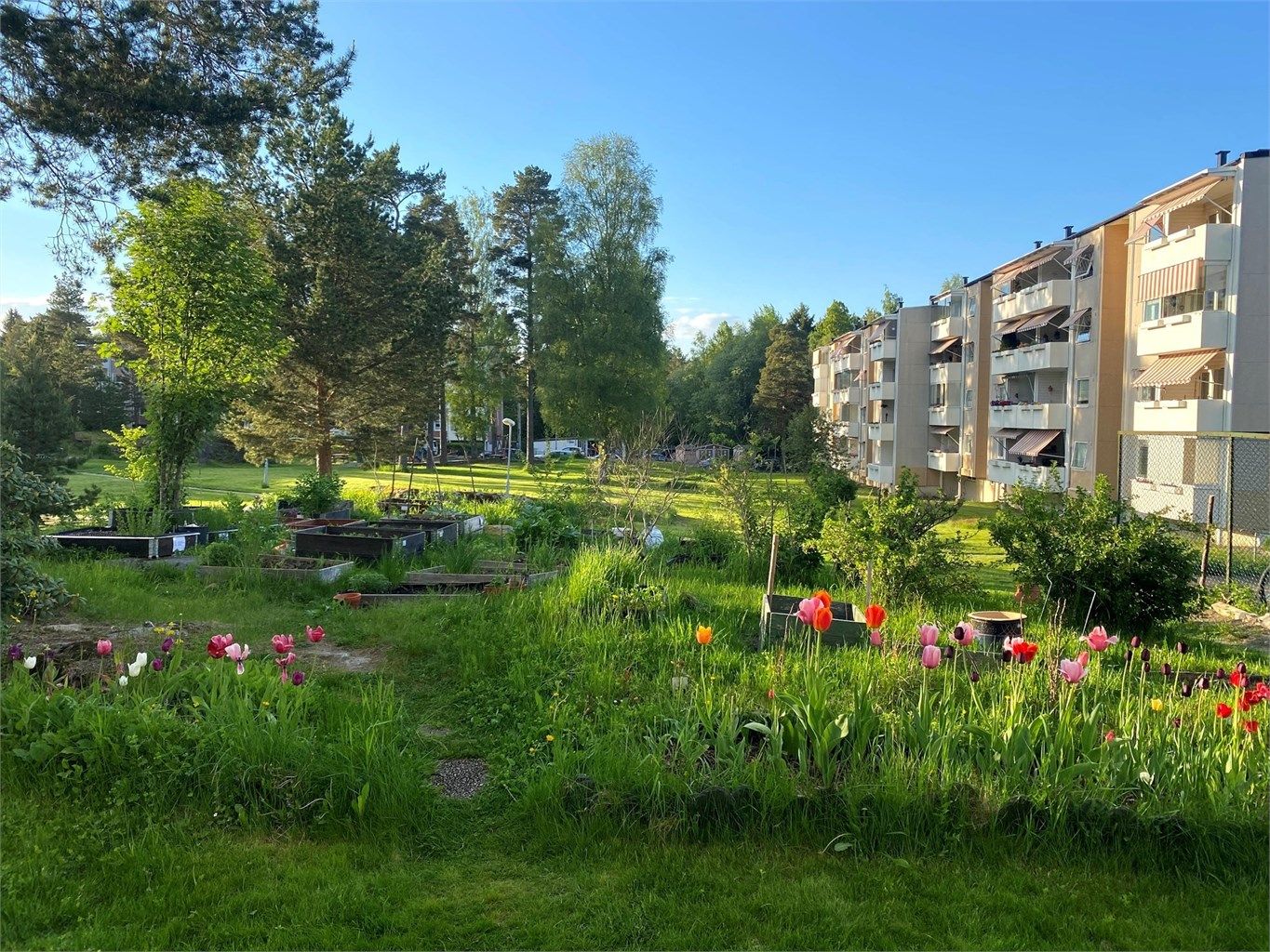 Borettslaget har satt av plass til et dyrkeområde på fellesarealene i borettslaget, hvor beboere kan sette opp plantekasser.