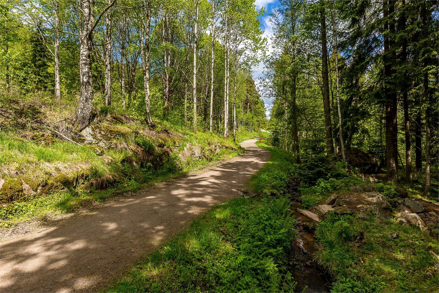 Lillomarka ligger i umiddelbar nærhet og kan by på milevis med turstier - sommer som vinter!