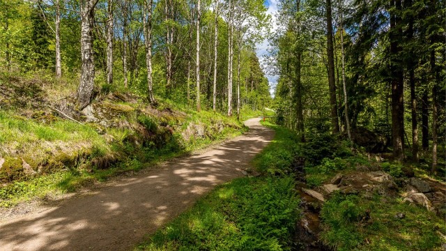 Lillomarka ligger i umiddelbar nærhet og kan by på milevis med turstier - sommer som vinter!