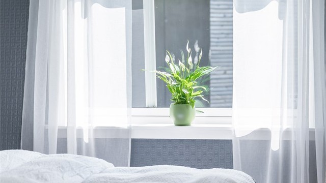 Vinduene slipper inn dagslys og gir utsyn.