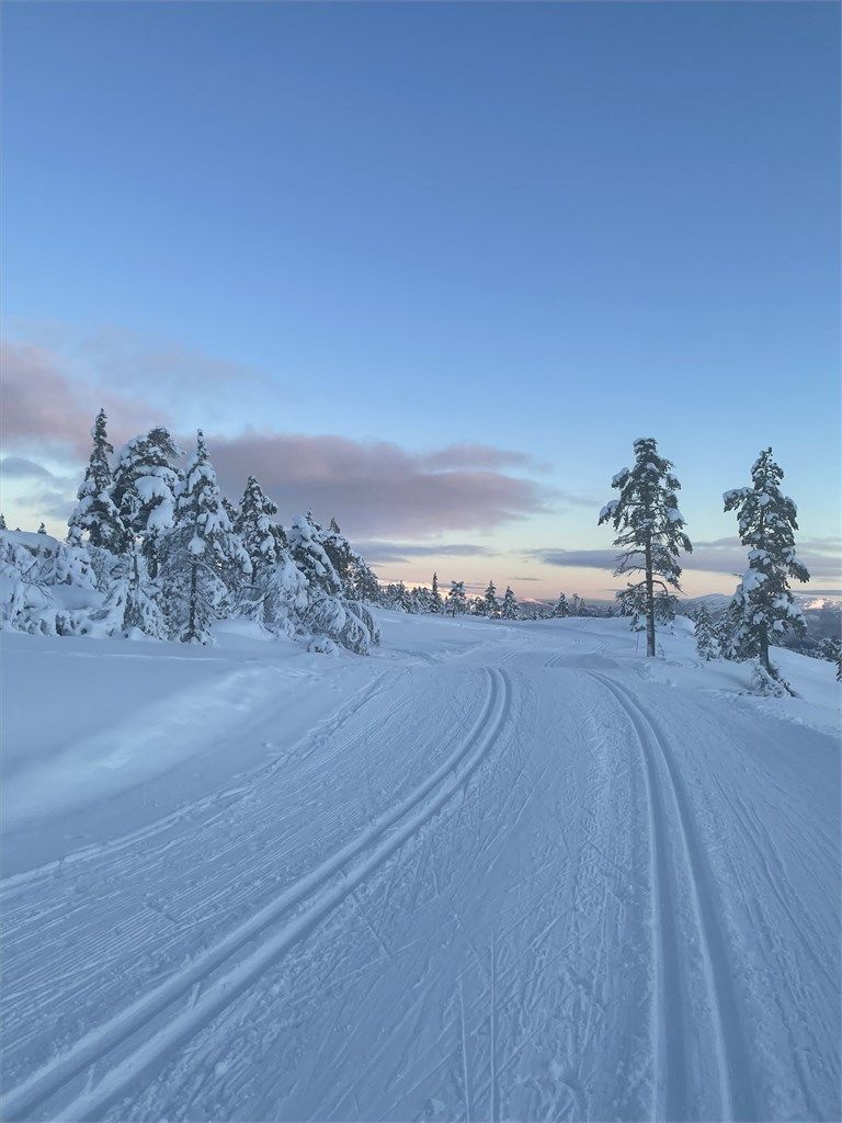 Med kun 300 meter til Vrådal Panorama Skisenter kan du spenne på deg skiene og skli rett ut i bakken.