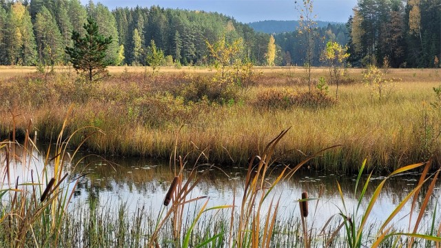Idylliske Nøklevann!