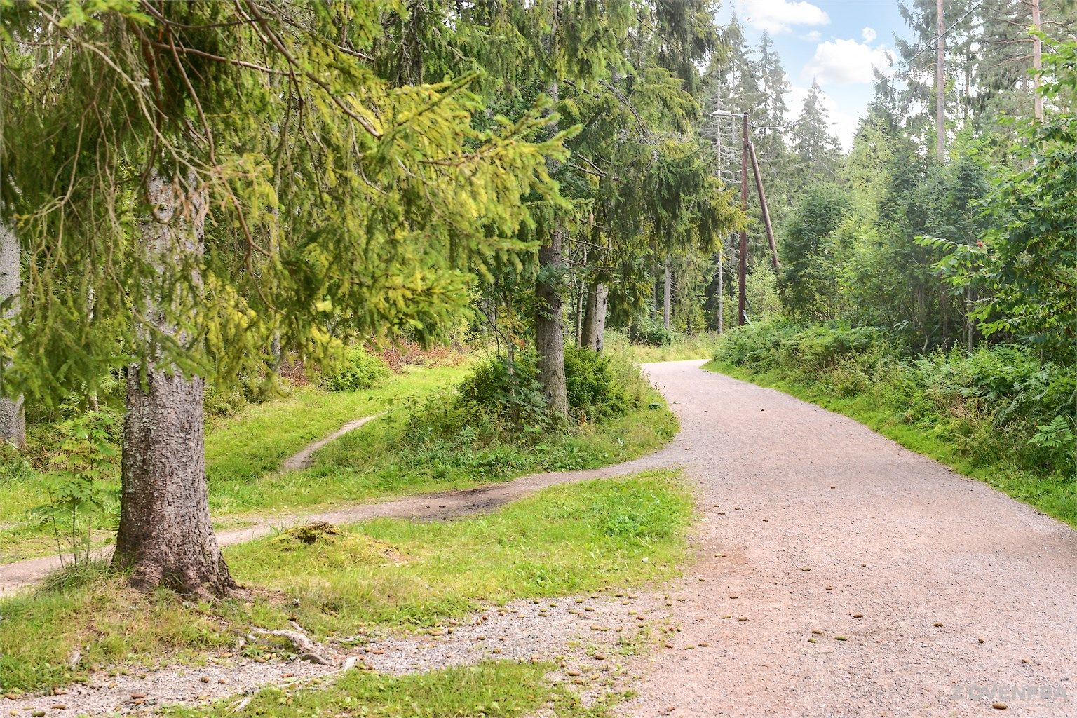 Kort vei til Østmarka med blant annet Lutvann og fantastiske turveier