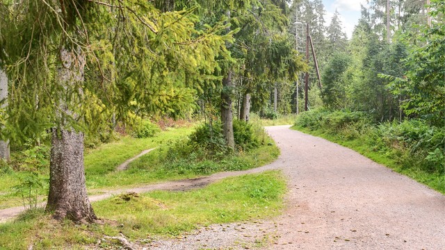 Kort vei til Østmarka med blant annet Lutvann og fantastiske turveier