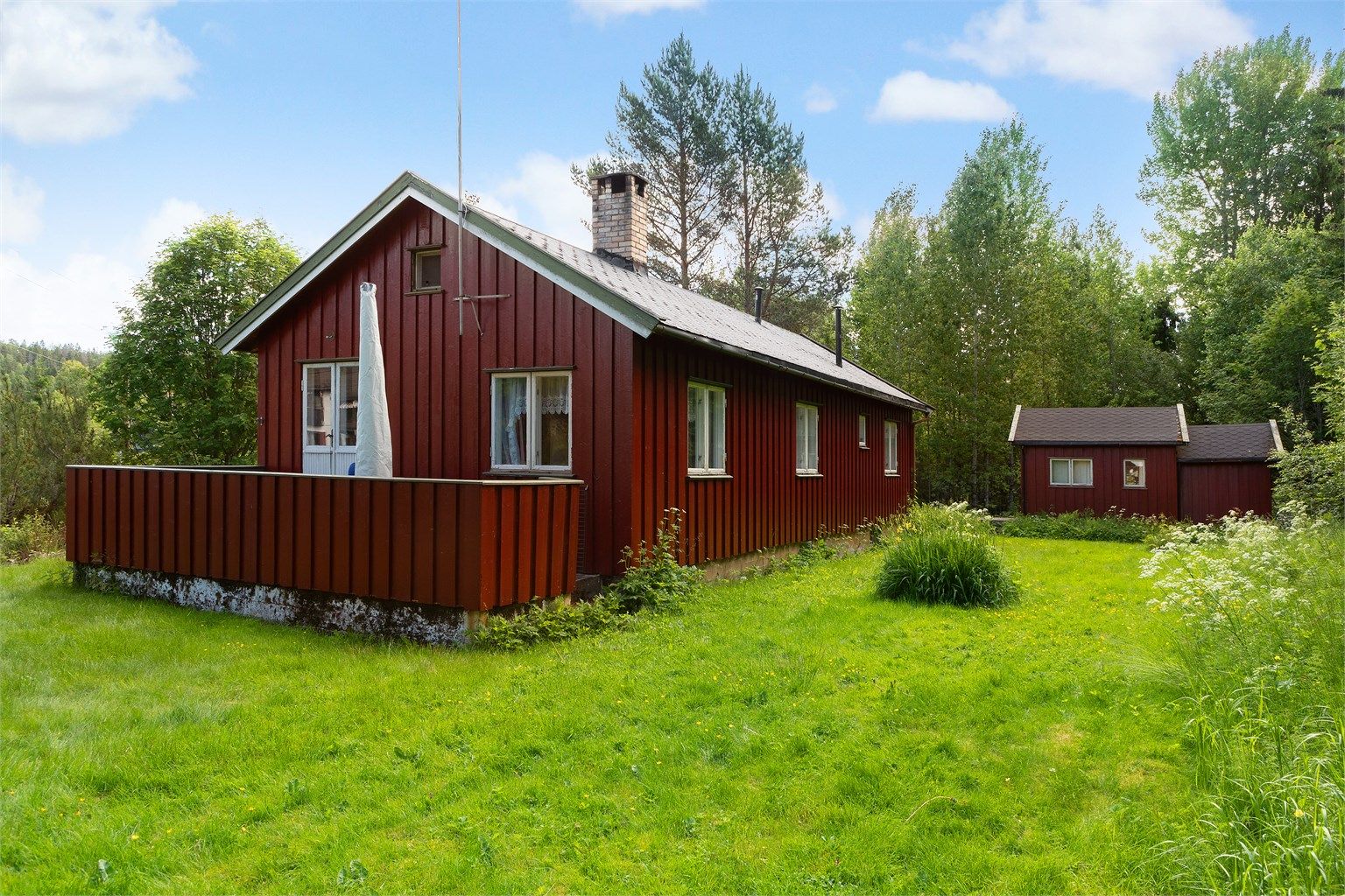 Tomt på 3.810 kvm med gressplen, vestvendt terrasse, diverse beplantning og skog. 