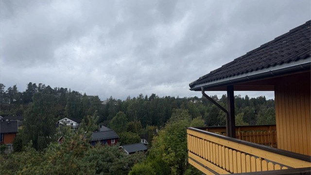 IMG_6086.jpeg