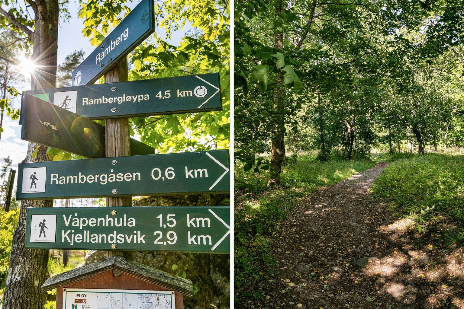 På Jeløy finnes et rikt antall turmuligheter. Stien som passerer ovenfor hagen har forgreninger videre rundt på øya.