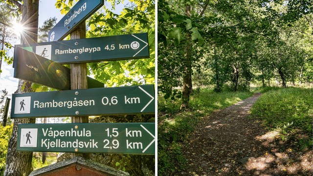 På Jeløy finnes et rikt antall turmuligheter. Stien som passerer ovenfor hagen har forgreninger videre rundt på øya.