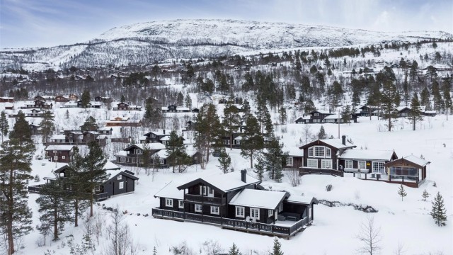 Dronebilde over hytten og nærområdet