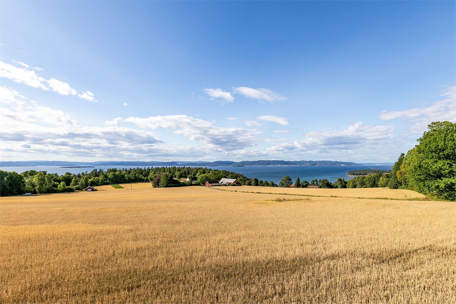 Nærmiljøet på Jeløy. Med tog fra Moss er du fremme i Oslo sentrum etter bare 30 minutter.