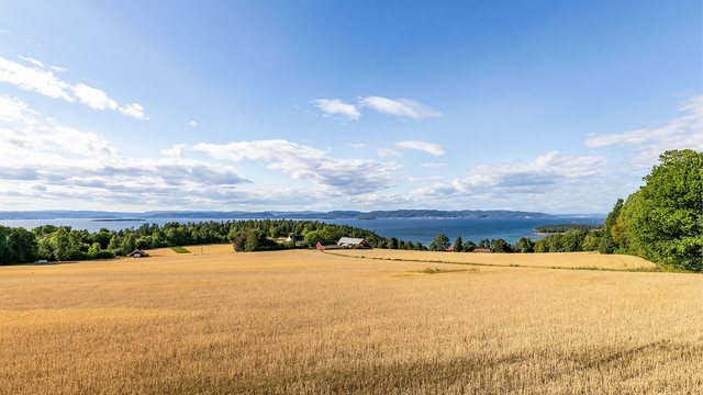Nærmiljøet på Jeløy. Med tog fra Moss er du fremme i Oslo sentrum etter bare 30 minutter.