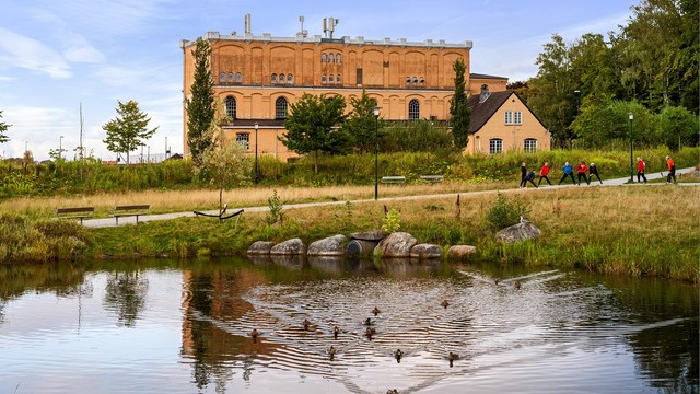 Nærområdet.