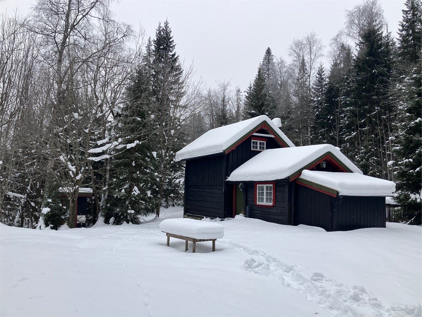 Selgers private bilder - vinter 2026