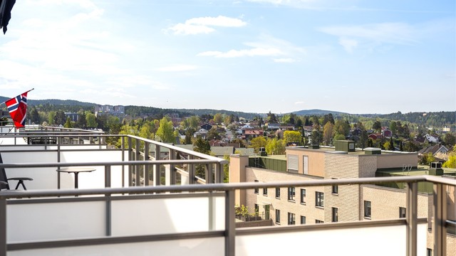 I motsatt retning strekker utsikten seg langt, med tretopper i horisonten.