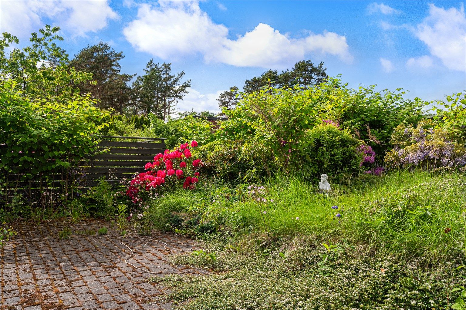 Detaljbilde med beplanting