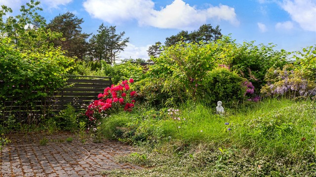 Detaljbilde med beplanting
