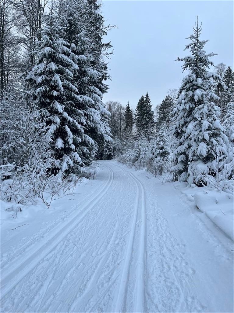 Flere skiløyper rett utenfor 