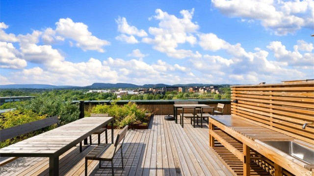 Sameiet har en fantastisk takterrasse med 360 panorama