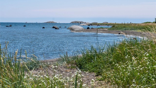 ra leiligheten er det kort vei til Bekkevika- en hyggelig sandstrand. Tjøme har mange vakre strender slik som denne på Hvasser.