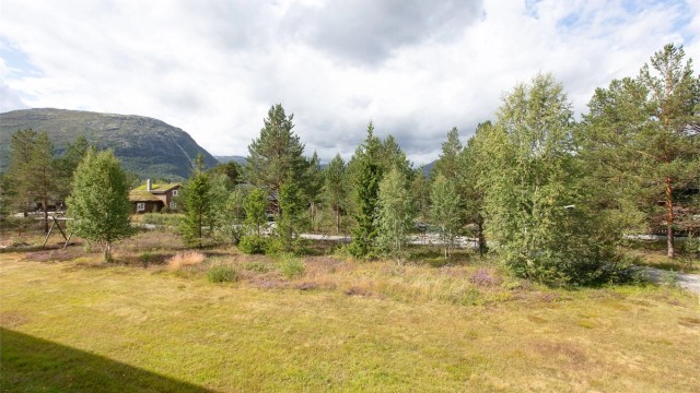 Utsikt mot nærormådet