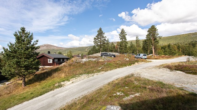 Fra hyttefeltet er det direkte adkomst til preparerte skiløyper om vinteren og flotte turstier om sommeren.