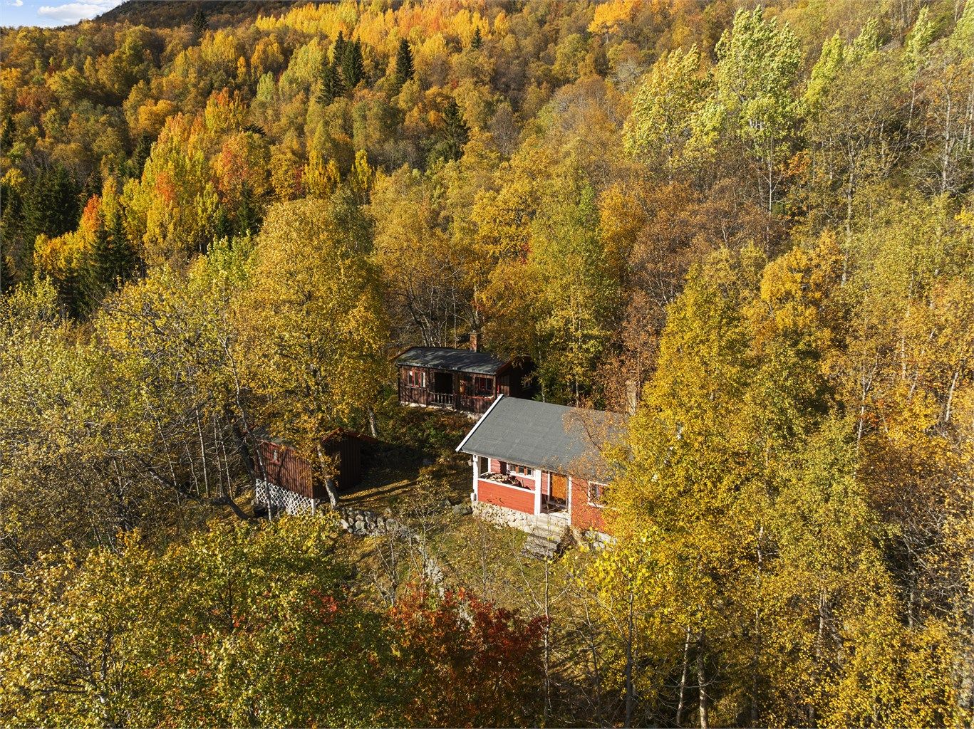 Koselig hyttetun med hytte, anneks og uthus