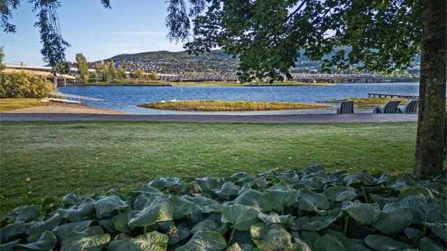 Nyt rolige dager langs elvebredden, kun et steinkast fra egen dør.