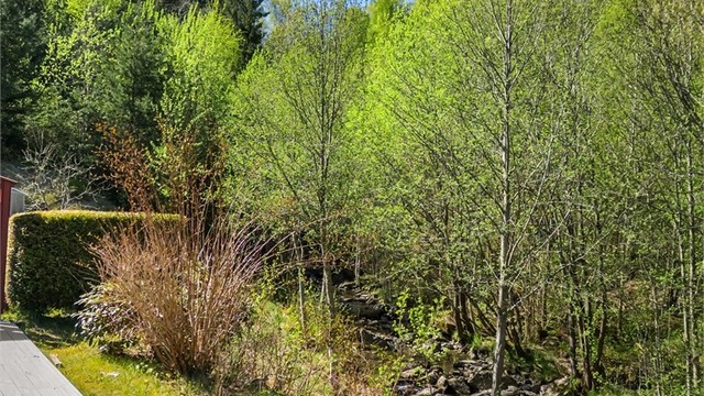 Her kan du nyte rolige og naturskjønne omgivelser rett utenfor døren.