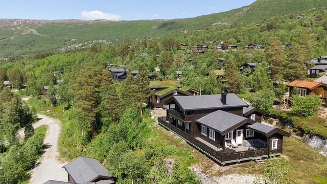 Dronebilde av hytten
