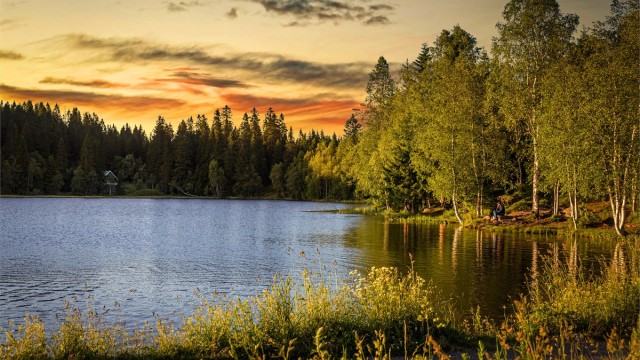 Bogstadvannet og områdene langs Lysakerelva byr på flotte turmuligheter, med skog, vann og naturskjønne omgivelser.